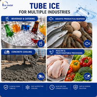 Machine à glace industrielle certifiée CE, production de 5, 10, 20, 30 tonnes par jour, usine de fabrication de glace comestible, refroidissement par eau et air pour usine de glace