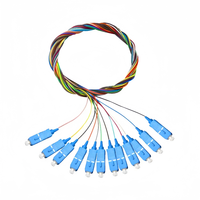 FTTH kabel serat optik Simplex, 1M 3M 5M 10M SC UPC mode tunggal dengan sertifikasi CE/ROHS/berlaku penggunaan dalam ruangan/luar ruangan