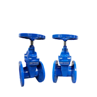 BS5163 DIN3202 3352 F4/F5 NRS Vanne à vanne à bride de siège à cale résiliente Fonte ductile Catégorie de produit Vannes à vanne