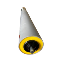 Rouleaux de convoyeur coniques en acier à double chaîne