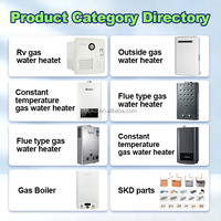 Chauffe-eau à gaz mural instantané de type cheminée 16L 32kW avec protection de sécurité pour la douche, fourni directement par l'usine