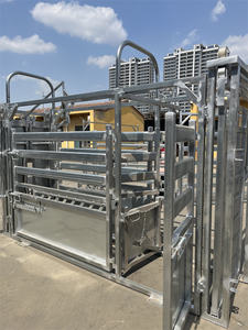 China Heavy Duty acero galvanizado manejo de ganado Crush Chute Squeeze Crush para uso veterinario - Product Image 5