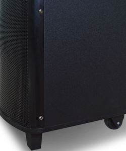 ลำโพงคาราโอเกะแบบพกพาขนาด 12 นิ้ว พร้อมล้อลาก ประสิทธิภาพเสียงเบสทรงพลัง ไฟ RGB LED  พร้อมพอร์ต USB/SD/FM และหน้าจอแสดงผล - Product Image 5