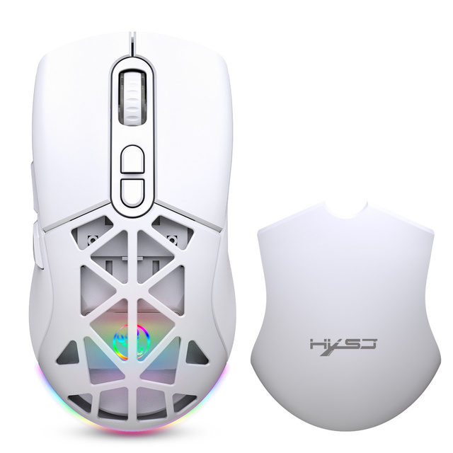 HXSJ T26 Dual Mode 3D Ergonomic RGB Optical Game Mouse Right Hand 650mAh Rechargeable 4800DOPI Adjustable Wireless Mouse Stock