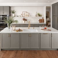 Ensemble d'armoires de cuisine en bois laqué noir sur mesure Vermonhouzz, armoires de cuisine modernes et durables pour les projets d'appartements et de villas