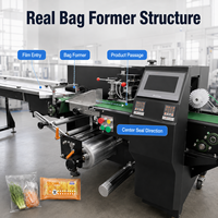 Machine d'emballage horizontale automatique multifonctionnelle professionnelle pour l'industrie alimentaire