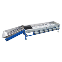 Machine de classement de triage d'olives Machine de classement de tomates cerises Machine de classement de fruits pour fruits ovales