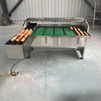 Nouvelle machine industrielle automatique de triage des œufs, équipement de triage des œufs de poulet, trieuse électronique d'œufs haute vitesse pour les fermes avicoles