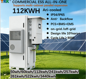 Armadio ESS Commerciale/Industriale LiFePO4 da 112kWh, Raffreddato ad Aria, IP65, Oltre 8000 Cicli, Durata 10 Anni, On/Off/Ibrido, Anti-Riflusso - Product Image 1