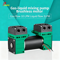 PENGPU GL6BL-2 Pompe à vide mini à double tête à diaphragme EPDM, moteur à courant continu 12V 24V, très vendue pour usage automobile