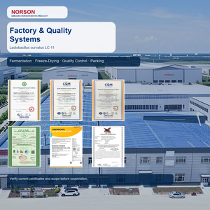 Polvere Probiotica Lactobacillus Crispatus LC11 Liofilizzata di Grado Alimentare, 100 Miliardi CFU/g, per Integratori per <span class=keywords><strong>la</strong></span> Salute Femminile - Product Image 6