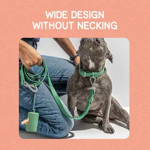 2021 Earth Biodegradable Pet Poop Bag High Quality Design Pet Dog Leash And Harness Set Air Tag Pvc Neck Divtop Pet Collar Leash