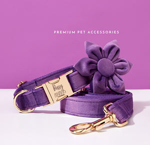 Conjunto de Veet púrpura personalizado, correa de cachorro hecha a mano, pajarita para regalo de boda, Collar de perro grabado elegante - Product Image 1