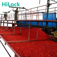 Ligne de production de machines de transformation pour tomates en conserve (tomates pelées, tomates en dés, tomates concassées) et légumes en conserve