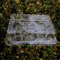 Couvre-boîtes jetables transparents de qualité alimentaire pour animaux de compagnie, 6 pièces, boîte à cupcakes rectangulaire en plastique à charnière, boîte à clapet