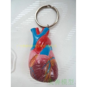 Llavero en forma de corazón, corazón simulado, modelo de llavero de corazón humano en miniatura, llavero de órganos internos humanos. - Product Image 1