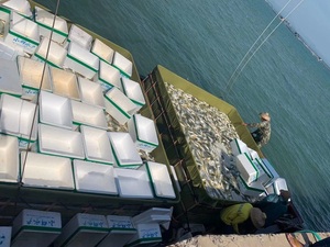Cage à poissons en PE anti-évasion pour poissons-chats, capacité de stockage stable de 22 à 26 kg/m³ - Product Image 3