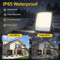 Projecteur miniature KCD Garden à haut lumen, boîtier en aluminium moulé sous pression, CE RoHS IP65 étanche, 20w 50w 100w, projecteur LED extérieur