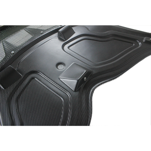 Panel de acceso frontal de capó de fibra de carbono, para LOTUS EXIGE - Product Image 6