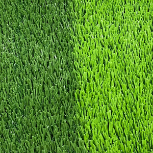 50 mét mật độ cao tổng hợp bóng đá cỏ nhân tạo cho bóng đá - Product Image 3