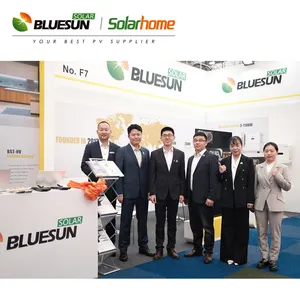 Bluesun N-Typ Topcon Solarpanels 550 W 580 W 590 W 600 W Solar-Pv-Panels 600 W große Größe für Solarkraftwerk