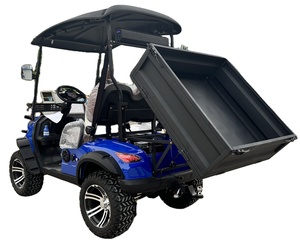 WELIFTRICH Carro de Golf Todoterreno de 2 Plazas con Batería de Litio y Plataforma Abatible - Product Image 6