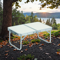 Table de pique-nique pliante moderne en aluminium et acier, table à manger portable à pieds courts pour cuisine extérieure, camping et utilisation en parc
