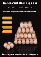 Porte-oeufs en plastique jetable recyclable oeuf de terre transparent épaissi antichoc caille Pigeon canard oie boîte à oeufs