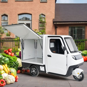 Tricycle de collation de cargaison de corps fermé pour adultes de tricycle de livraison électrique de haute qualité 3.0kw avec moteur 60v certifié EEC - Product Image 3