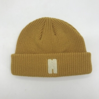 Unisex beanie met aangepast 3D geborduurd fruit/figuurontwerp - Veel kleuren, modieus, voor buiten, houdt warm