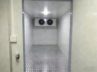 Promotion : Conteneur frigorifique mobile de 40 pieds, chambre froide, congélateur mobile, conteneur réfrigéré pour fruits et légumes solaires