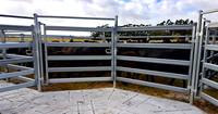 Panneau de cour de bétail de ferme à portail rotatif de haute qualité en gros