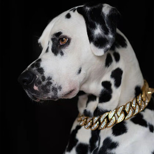 Accesorios para mascotas Cadena de eslabones cubanos chapada en oro de acero inoxidable sólido fuerte de 32mm Cadena de perro de diamante - Product Image 5