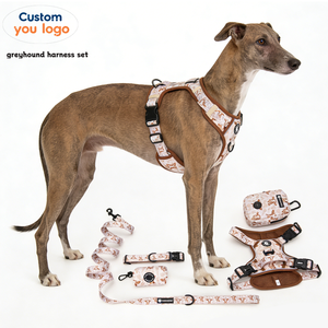 Conjunto de Arnés y Correa <span class=keywords><strong>para</strong></span> Perro Greyhound al por Mayor, con Logotipo Personalizado, Clip Frontal Resistente, Ajustable, Anti-Tirones - Product Image 1