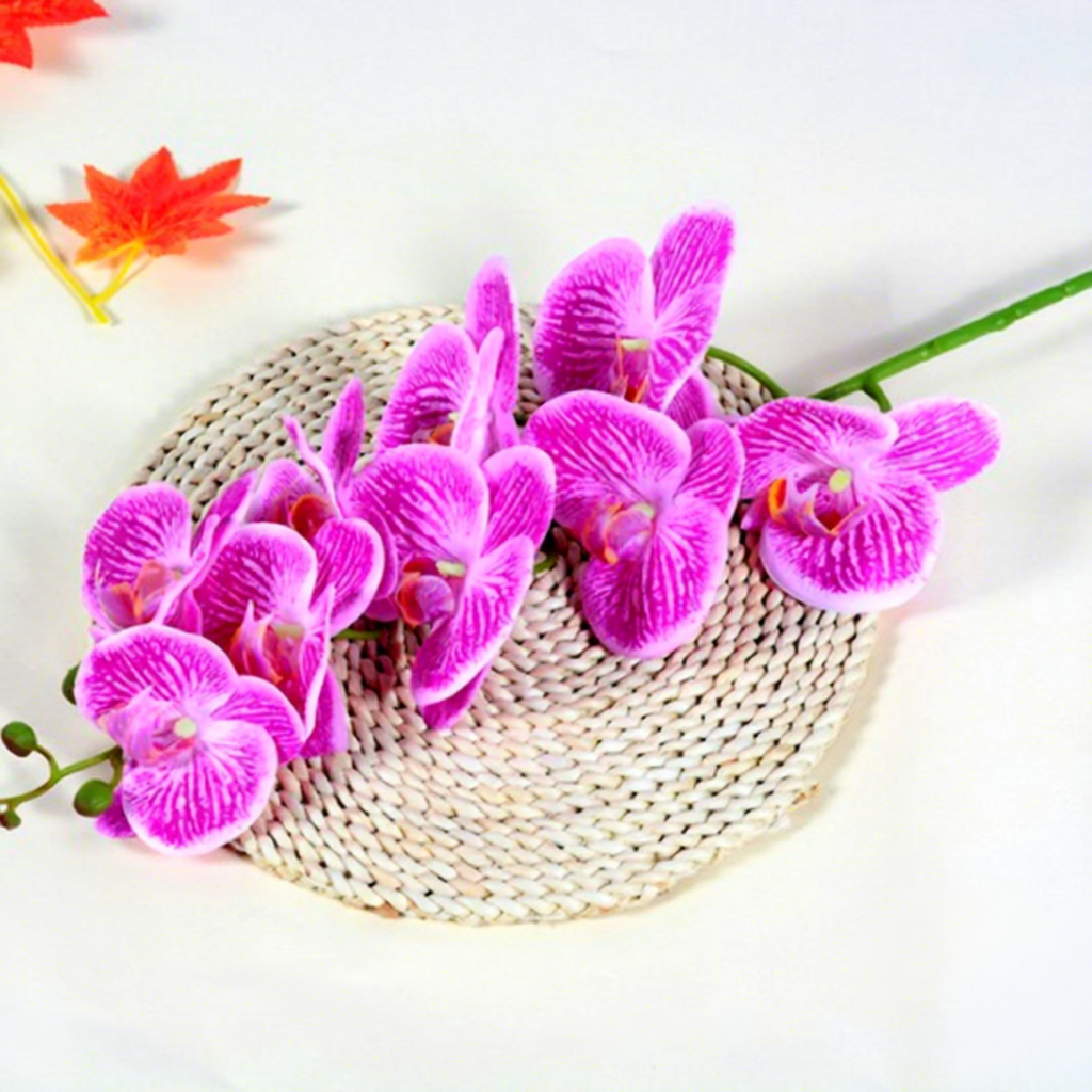 9-head phalaenopsis orchid-distinct purple lines