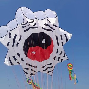 Logiciel de <span class=keywords><strong>cerf</strong></span>-<span class=keywords><strong>volant</strong></span> en nylon de haute qualité résistance au vent et à l'abrasion pour un décollage facile des sports de loisirs en plein air - Product Image 6