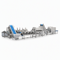 Usine de transformation de frites surgelées à grande échelle et haute efficacité, avec machines de pelage, découpe, blanchiment et friture continues