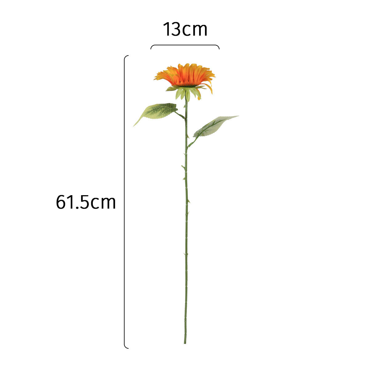 Long-stemmed sunflower