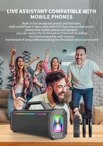 Altavoz Portátil con Sonido de Karaoke, Bluetooth, RGB, Inalámbrico, con 2 Micrófonos, Ideal para Fiestas - Product Image 6