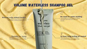 BEAVER Marque privée Vente en gros OEM Contrôle de l'huile personnalisé Soins capillaires Format de voyage Gel <span class=keywords><strong>sans</strong></span> <span class=keywords><strong>eau</strong></span> volumateur de luxe Shampooing à sec - Product Image 3