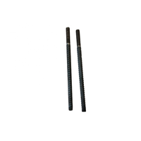Boulon de roche de résine d'ancres de SN de toit de clou de sol de forage d'individu pour le soutien de pente de toit de tunnel de mine