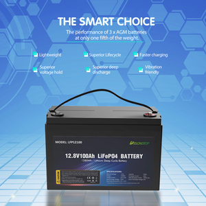 <strong>Deep</strong> <strong>Cycle</strong> <strong>12V</strong> 100ah Lifepo4 Lithium <strong>Battery</strong> for RV/<strong>Solar</strong> System/Yacht/Golf Carts Storage and Car - Product Image 6