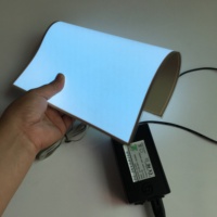 Suministro directo de fábrica de alto brillo A0 A1 A2 A3 A4 A5 Tamaño Led EL Productos Panel de retroiluminación Hoja luminiscente eléctrica