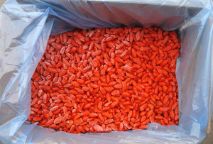 <span class=keywords><strong>Baies</strong></span> <span class=keywords><strong>de</strong></span> <span class=keywords><strong>goji</strong></span> surgelées fraîches chinoises Sinocharm BRC approuvées IQF - Product Image 6