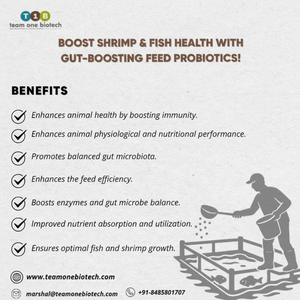 El alimento para peces de fuerza intestinal con probióticos mejora la salud y la vitalidad - Product Image 1