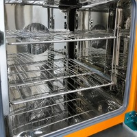 Horno de Secado al Vacío de Laboratorio de 50L con Rango de Temperatura RT+5~300C para Secado de Muestras y Reactivos Químicos