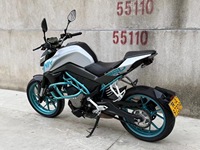 Motocicleta Usada NK250 de 250cc, Gasolina, Estilo Naked, Buen Estado, Bajo Kilometraje, para Desplazamientos Urbanos y Conducción Deportiva, >180km/h, Jiangsu Global