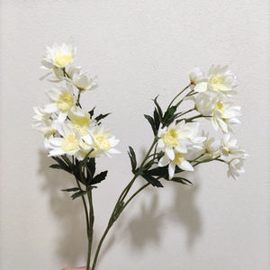 Dente di Leone Artificiale Singolo, Cavolfiore a Stella, un Nuovo Prodotto che Veramente Cattiva l'Attenzione e è Ideale per Decorazioni Festive - Product Image 6