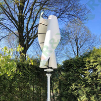 Éolienne à axe vertical résidentielle 48v 96v 120v Forme spirale 10KW R&X RX-SV Garantie 10 ans Certifiée CE pour la maison
