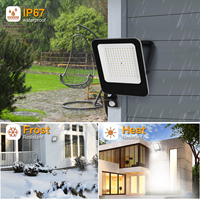 Projecteur LED extérieur 100W 220-240V IP67 étanche avec détecteur de mouvement pour cour, jardin, éclairage mural lumineux